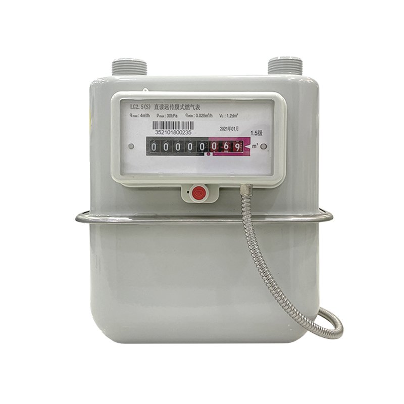 光電直讀燃?xì)獗? style=